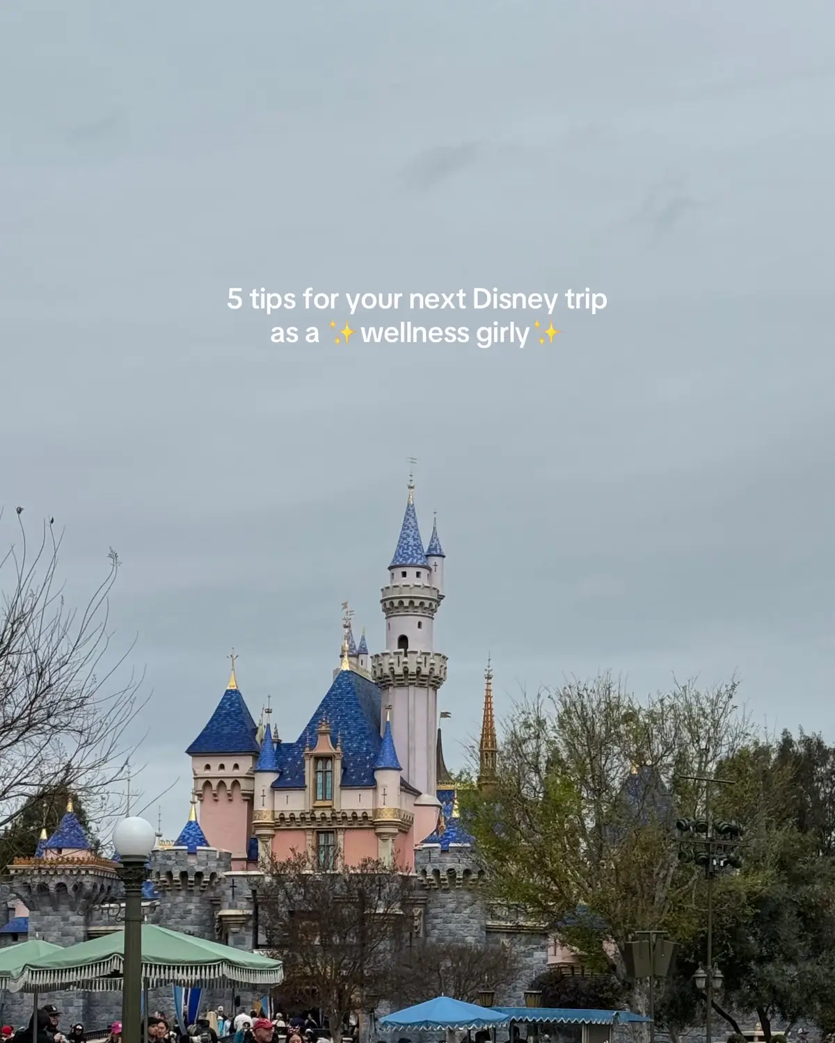 my top 5 tips to feel your best while still having the best time at the happiest place on earth @Disney @Disney Parks #disneyland #disneyparks #wellnesstips #wellnessgirl #habitstacking 