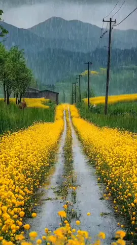 I like the scenery in the rain,do you like it #Scenery #Rain scene #fyp 