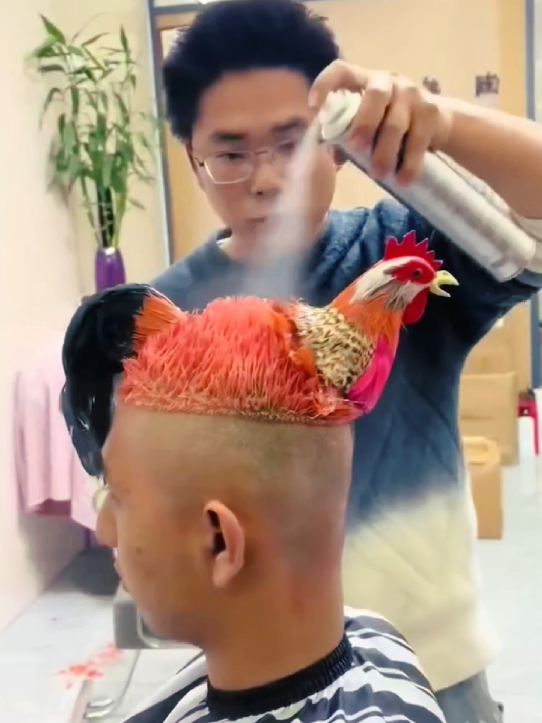 Chicken Funny Video !😂🤣 #funny #comedyvideos #shorts #funnyshorts #shortsfeed #funnyvideos #trending #foryoupage #tiktok #foryoupageシforyou #trandingreels 