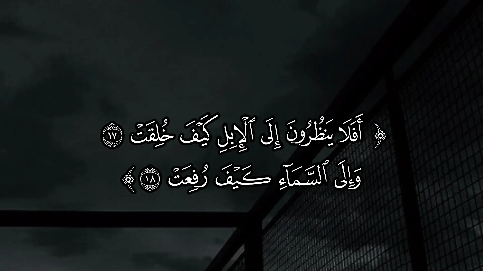 سورة الغاشية 🤍. #ماهر_المعيقلي #قران #quran 