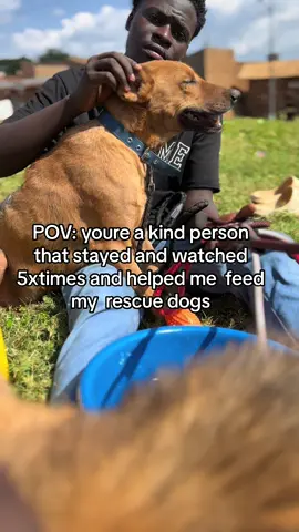 Please don’t scroll #animallover 