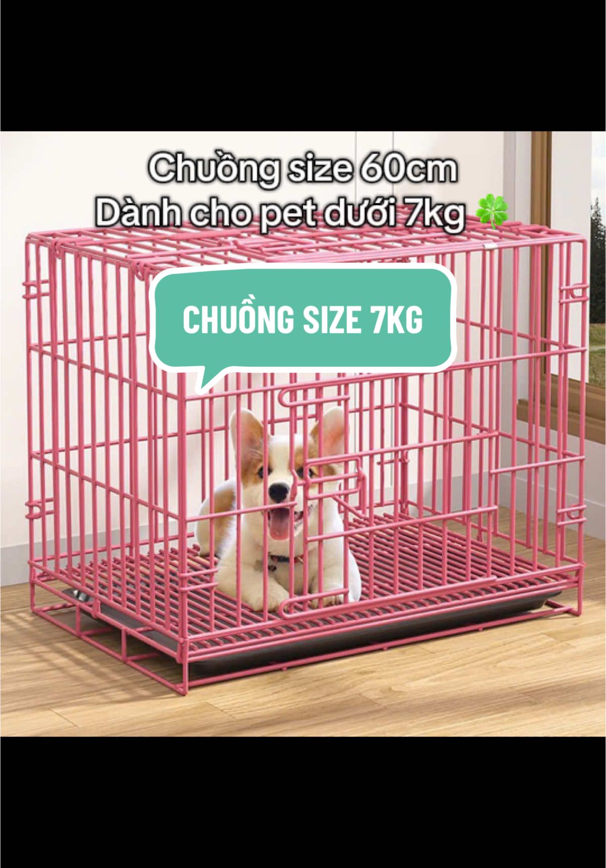 ☘️🐶 Chuồng gấp gọn, chuồng chó mèo size dưới 7kg.  #chomeo #thucung #pet #chuonglapghep #chuongcho #chuongchomeo #animal #cuteanimals #chuonggapgon 