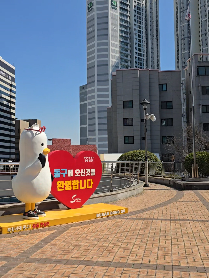 #부산동구청 #동구청상가 #동구상가거리 #시니어문화 