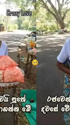 #බුදුසරණයි #බුදුසරණයි 