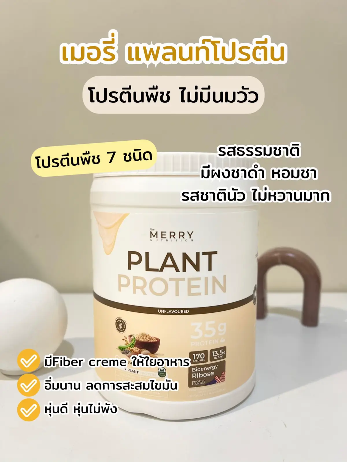 Merry Plant Protein ทั้ง6รสชาติ แต่ละรสชาติเป็นยังไง ได้ประโยชน์อะไรบ้าง? #โปรตีนพืช #โปรตีน #merryplantprotein #plantprotein 