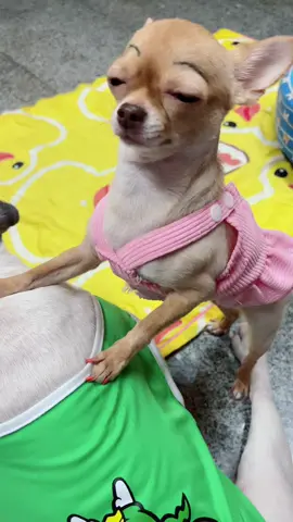 น่ารักกก