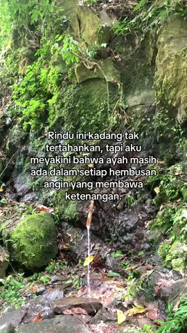 #ayah #rinduayah #lebarantanpaseseorangayah #suasanlebaran #rinduksosokayah 