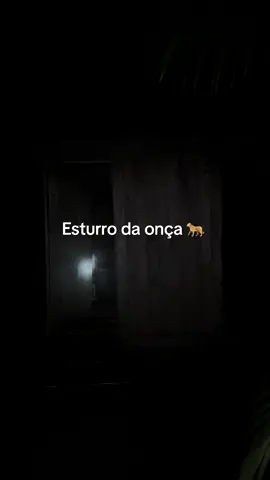 Meu medo ? #viral #amazonia 