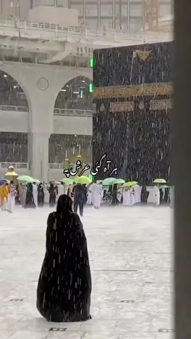 Aya he bulawa mujhe Darbar Nabi se!!🤍💚 #naat #ibadat #islamic_video #qadri #saifullah #hafiz #allah❤️ #mohammad #makkah #madina #fyp 