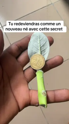 Tu veux redevenir sans péché comme un nouveau né et tes activité évoluera comme il faut voici ton secret #reels #videos #virals #pour #redevenir #un #nouveau #né 