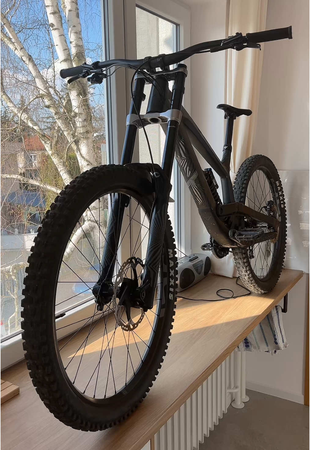 His @speedys.123 mom yelled at me after recording this video #mtb #mountainbiking #fyp 