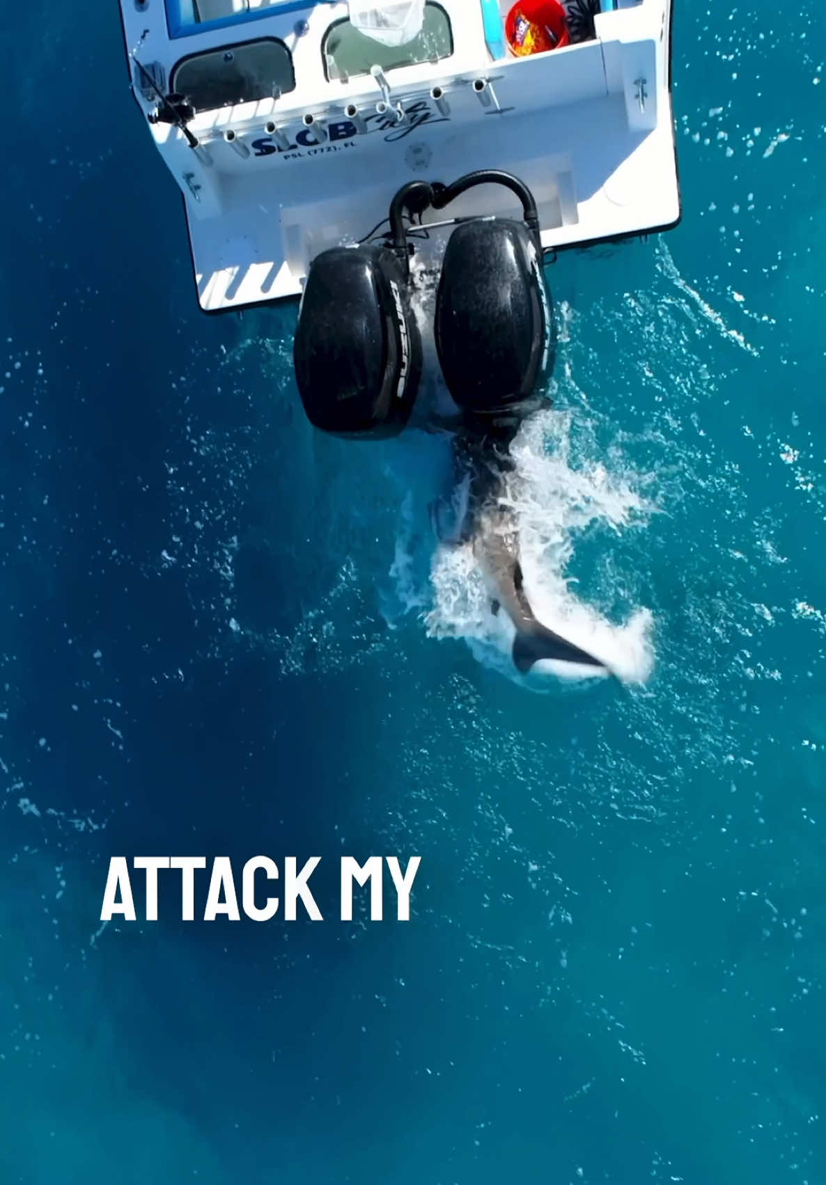 This massive shark attacked my friend’s boat 😱 #shark #sharkattack #boat #fishing 