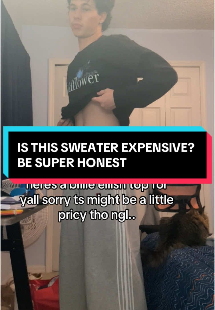 i gave yall a discount tho if it helps, & they have hoodies, shirts, sweaters, and different sizes and colors too! #billieeilish #sweater #tiktokshopmademebuyit 