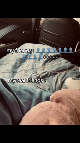 grrr #fyp #fypシ゚viral #tiktokselek #masukberanda #bissmillahfyp #friends #fakefriends 