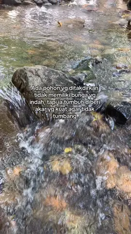 #melangitkanmu 