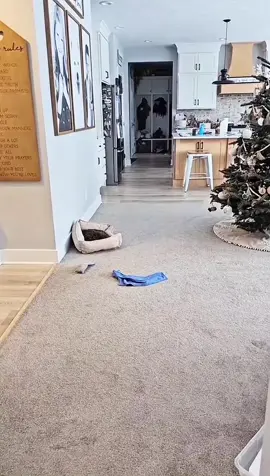 😂😂                                                    #scare #prank #scarepank #funny #fail #funnyvideos #fyp #fypシ゚viral #fypage #prankvideo  #jump  #jumpscare #jumping #jumpy #prankvideos  #hahahaha #funnyfamily #scary #scarytiktoks #myman #funnycoupe #funnyfamily #funnyboy