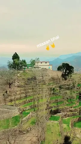 bro and maamo 🫶❤ #trendingtemplates🔥🔥 #viral #todaytrend @maaz khan 