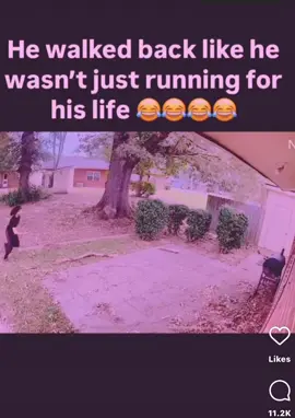 When walking in someone backyard goes wrong #dogsoftiktok #dogchaseshuman #trackandfield #trackstar 