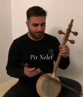 Pir Xelef | Ew ci dile #oldbutgold #pir #xelef #kamaca #kamence #kameca #komapira #komapiraxelef @Xelef KomaPira 