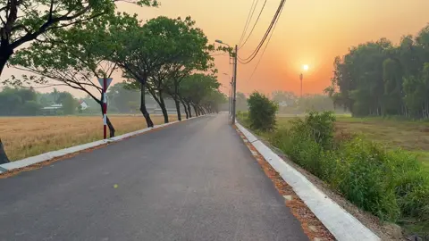 📸 #xuhuongtiktok #videocảnhđẹpchill #chill #bìnhchánh #fyp 