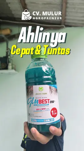 Glubest! Herbisida anti lulangan untu kelapa sawit! Buruan segera dapatkan barang ini di CV Mulur Agropreneur! #udmulurpertanian #cvmuluragropreneur #mulurpertanian #bolomulur #petani #petaniindonesia #pertanian #pertanianindonesia #farm #farmer #pestisida #herbisida #maxxiagri #glubest