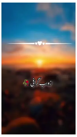 #saraiki ساڈے عشق ءچ لا لچ قطرہ نئیں 💔💔😭