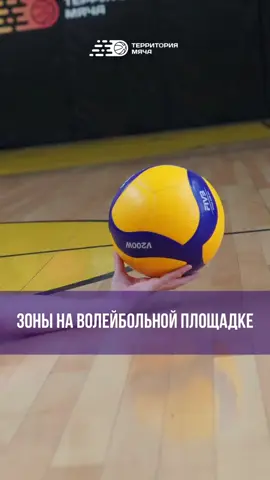 Зоны волейбольной площаки 🏐 Понимание функций каждой зоны и ее стратегического значения обеспечивает игрокам все необходимые знания для эффективной игры и взаимодействия на площадке.Более подробно с этой темой ты можешь ознакомиться в нашей статье (ссылка https://terball.ru/blog/zony-voleybolnoy-ploschadki-kakie-byvayut-i-dlya-chego) P.S. Сколько раз насчитал слово «располгается» в видео? 😁 @terball.ru #terballru  #terball