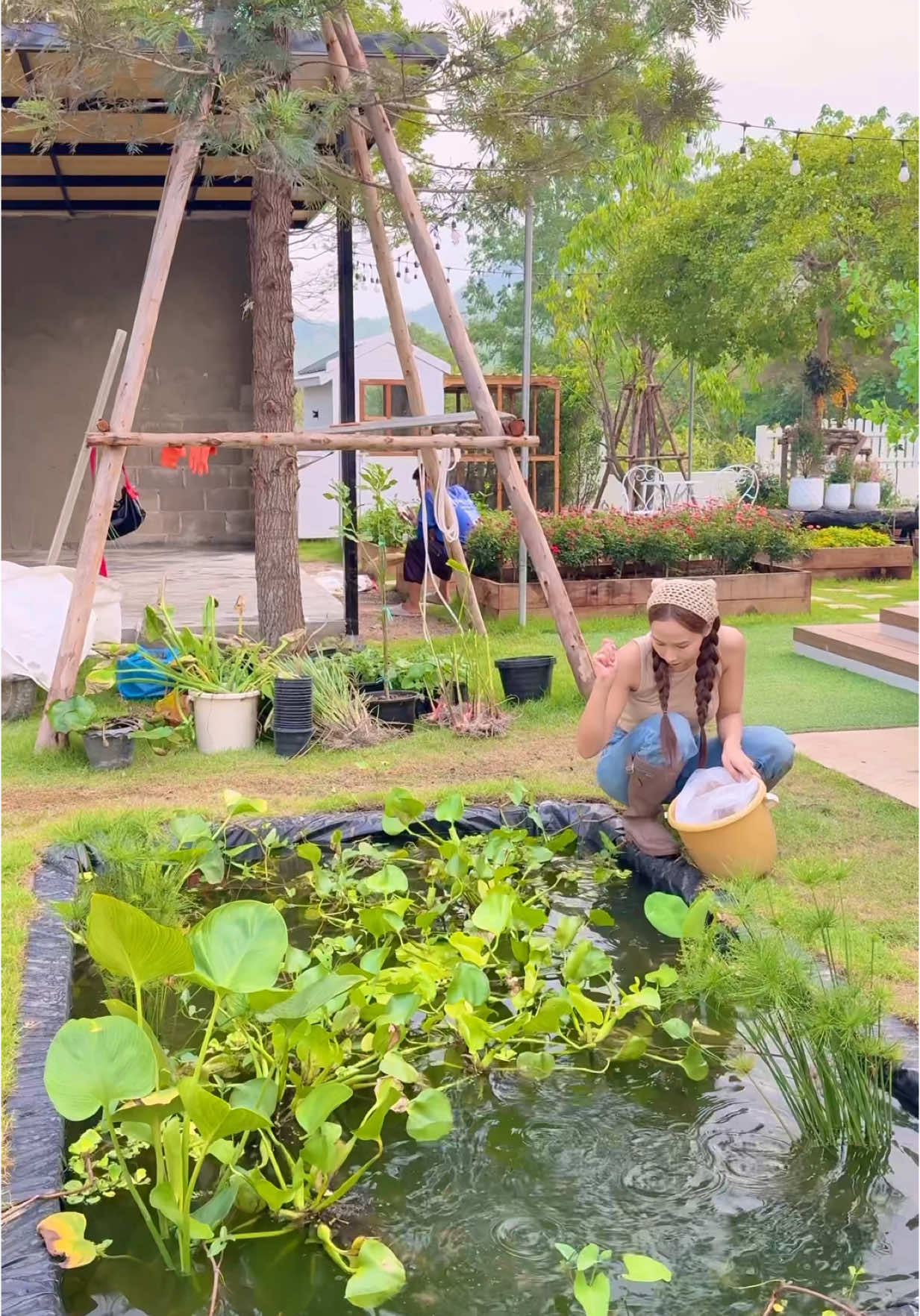 ความสุข#น้องมดไก่ไข่อารมณ์ดี #ไก่ไข่อารมณ์ดี #ไข่ไก่อารมณ์ดี #ฉันเป็นเกษตรกร #บ้านสวนน้องมด 
