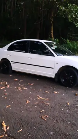 Sa son in tass dn latete la  🤍#hondacivic #es8 #nature #evening #song #car #foryoupage #fyp 