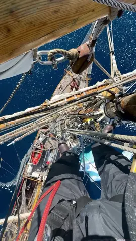 Tough to beat a bluebird day in Antartica. 📽️ : @drew.simms #getoutside #antarctica #cold #sailing #boats