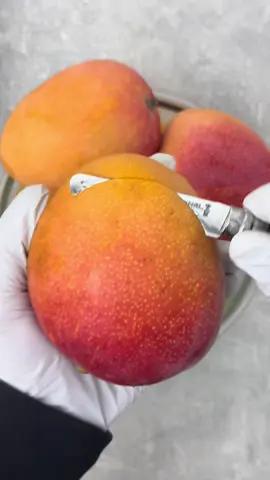 Juicy Kent Mango 😍 #fruit #exoticfruit #tropicalfruit #mango #kentmango #fyp 