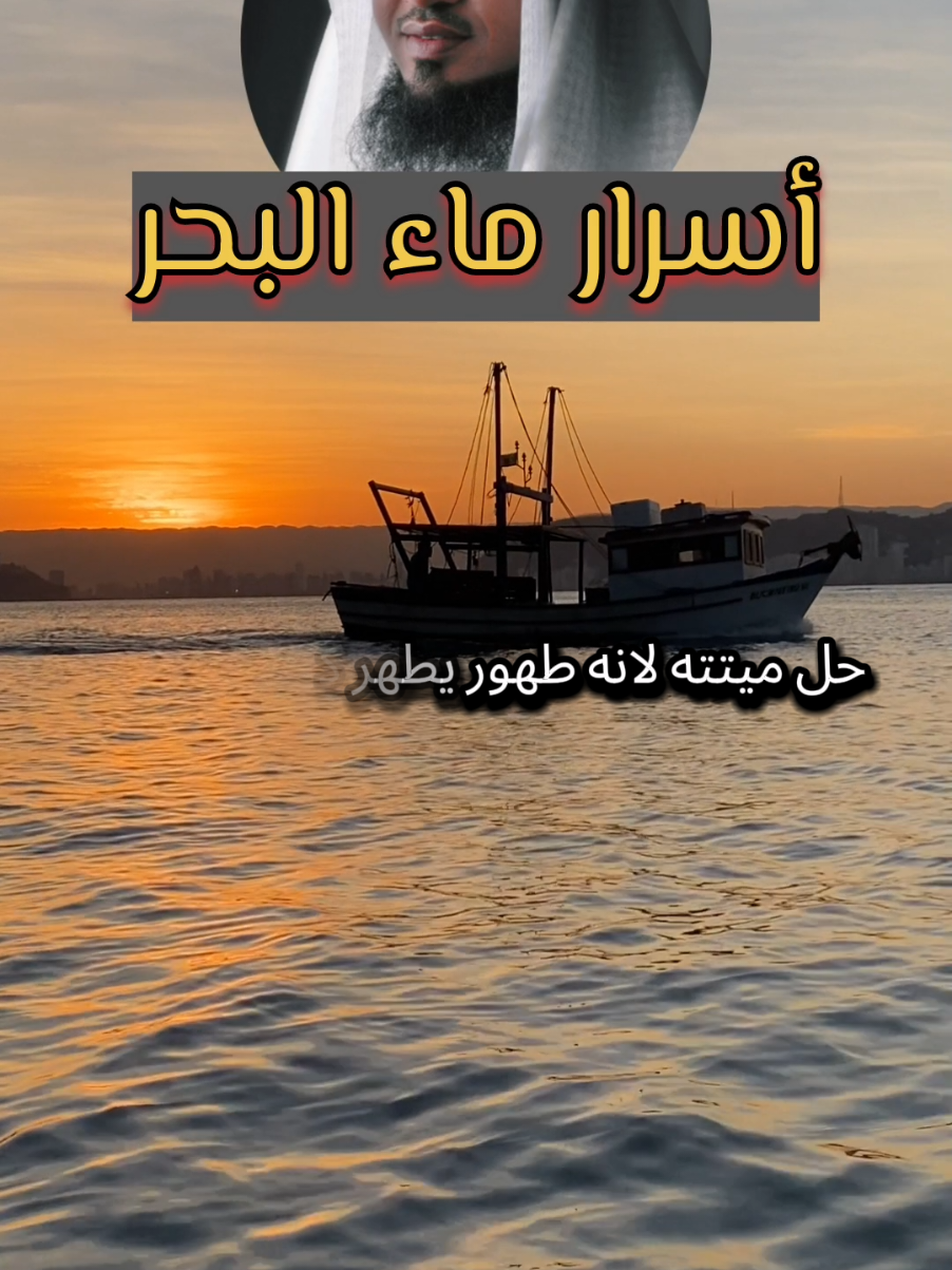 أسرار ماء البحر مع الشيخ محمد بن علي الشنقيطي  #ماء_البحر #أسرار #موعظه_دينية_مؤثرة #موعظة #لاإله_إلا_الله_محمد_رسول_الله #الشنقيطي #السعودية #فرنسا🇨🇵_بلجيكا🇧🇪_المانيا🇩🇪_اسبانيا🇪🇸 #foryoupage❤️❤️ 