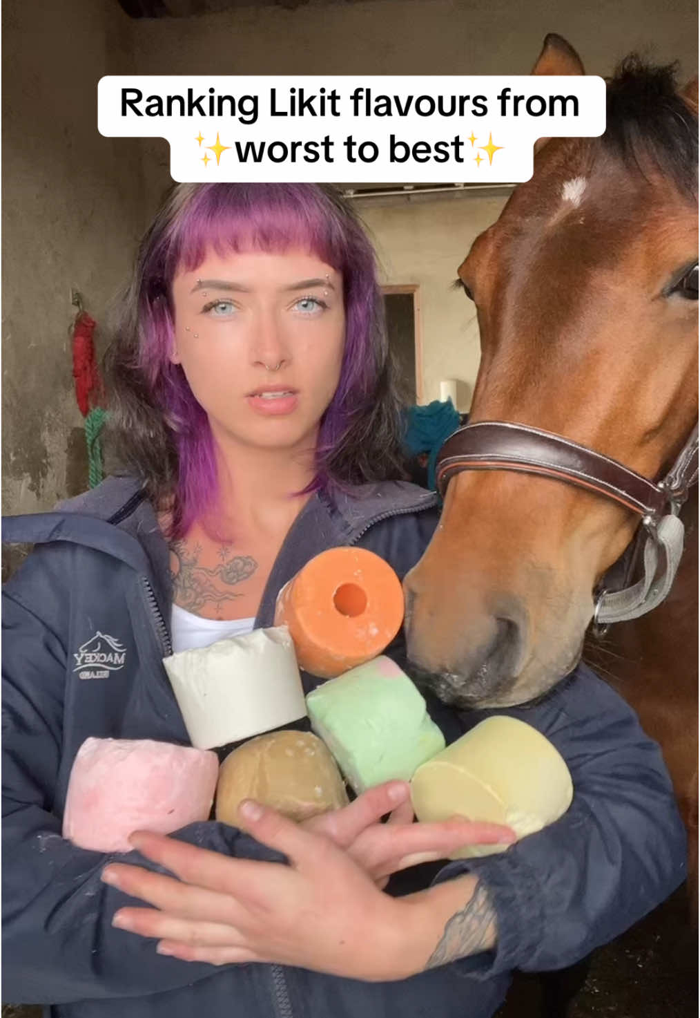 mocha takes her role as food critic VERY seriously. (@Likit Products pls more flavours)  IB: @elliebellis.showjumping #equine #equestrian #horsetok #horsesoftiktok #equestrianvibes #horsebackriding #horsegirl #fyp #foryou #abcxyz 