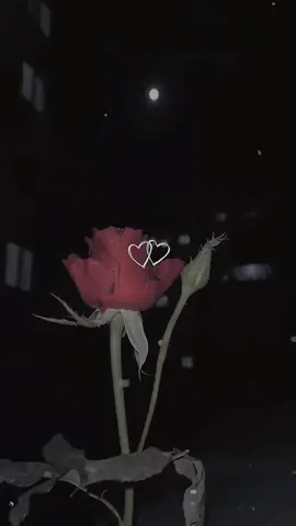 ألزمتُ نفسي بالتغافُلِ دائمًا ردُّ الاساءة بالإساءةِ يَهِدمُ .🖤#ــــــــــــــہہہـ٨ـــ٨ــ🥀🎶🥀 #ــــــــــــــہہہـ٨ـــ٨ــ🥀🎶🥀 #عبارات 