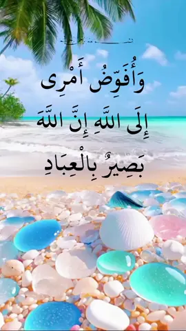 وأفوض أمري إلى الله#القران_الكريم #fouyou #راحة_نفسية_للقلب🤲📿💕 #fyp #explore❥🕊 #تلاوة_خاشعة #icsploure🤗 