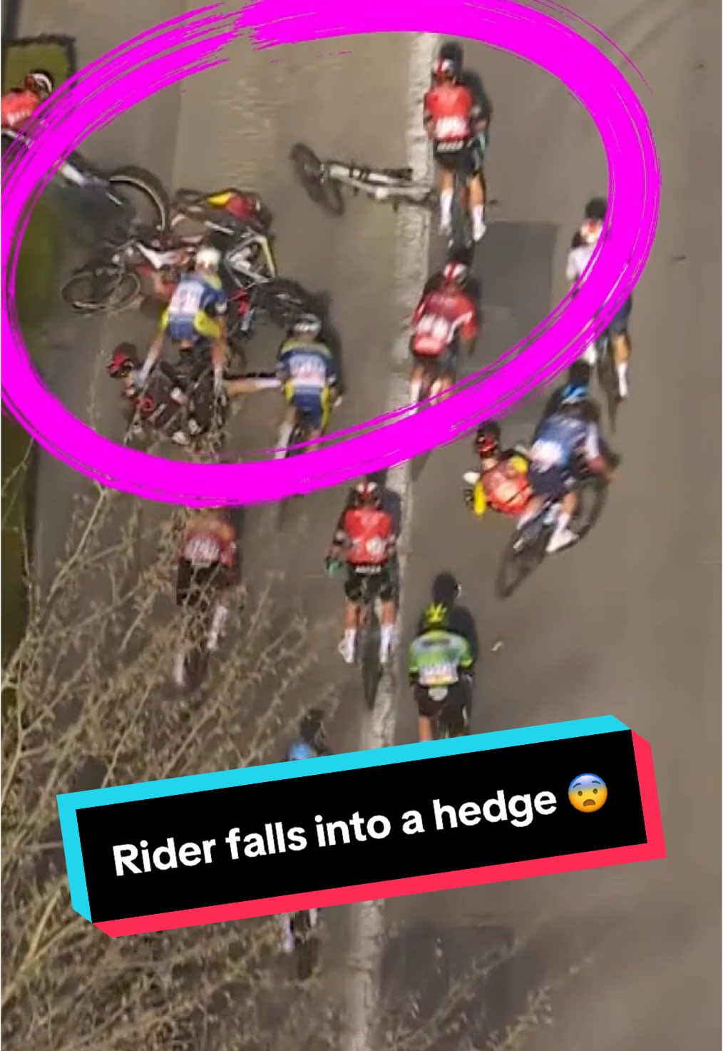 The moment a rider fell into a hedge at Brugge-De Panne 😳 #cycling #roadcycling