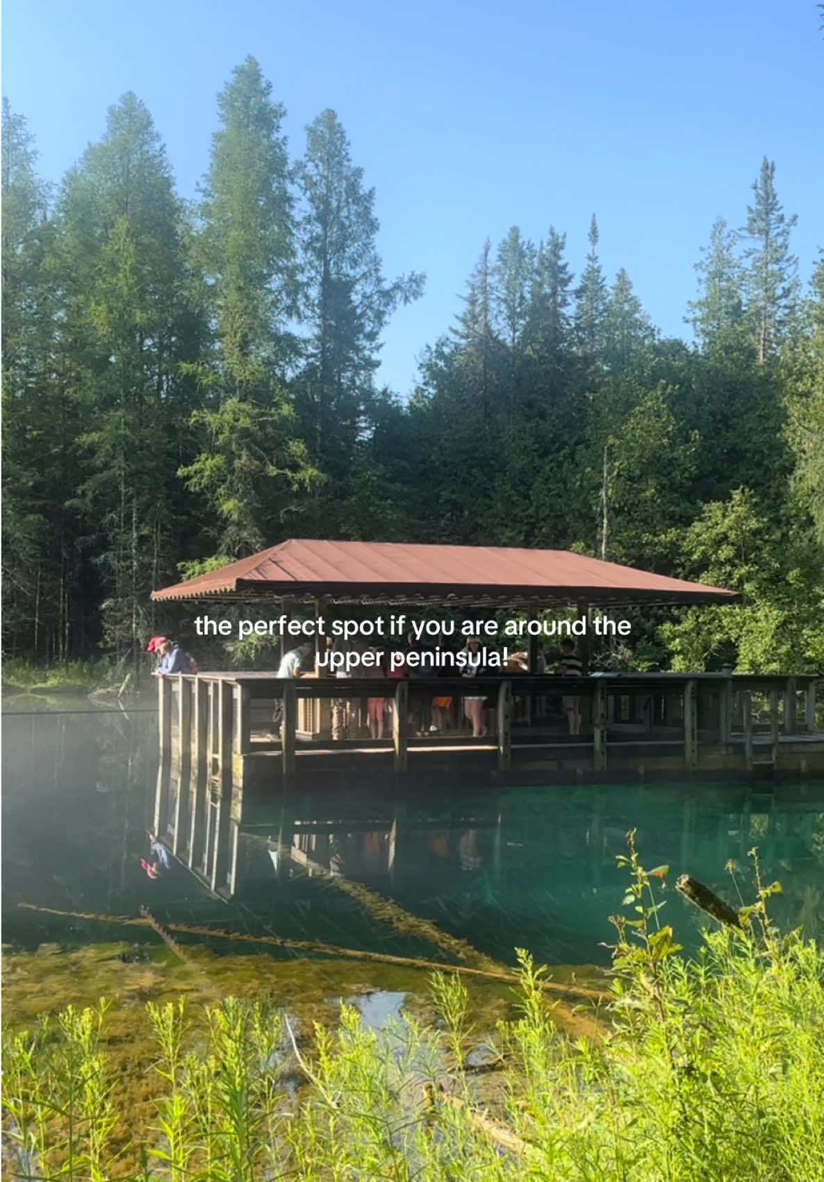 📍Kitch-iti-kipi, Michigan | such a beautiful sight i def recommend checking it out! #midwest #michigan #upperpeninsulamichigan #upperpeninsula #midwesttravel #travel #vacation #michiganbucketlist #bucketlisttravel #Summer #summervacation #bucketlistvacations 