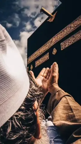 Duet with @Noor E Ramzan #alwidahmahramzan 