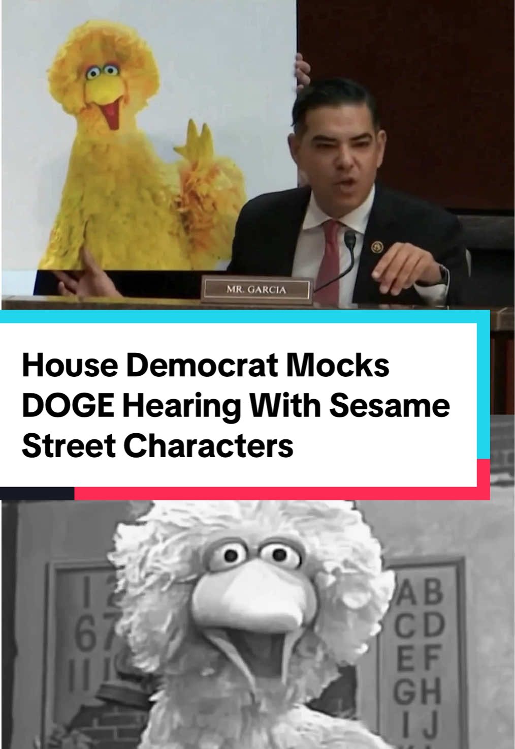 A House Democrat mocked a DOGE hearing threatening public broadcast funding with questions about Sesame Street characters. #fyp #news #politics #political #politicalnews #politicaltiktok #politicstiktok #doge #sesamestreet #elmo #cookiemonster #bigbird #pbs #democrat #democrats 