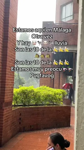Son las 10 de la 🍌🍌, pugfavug #lluvia #Malaga #fyp 