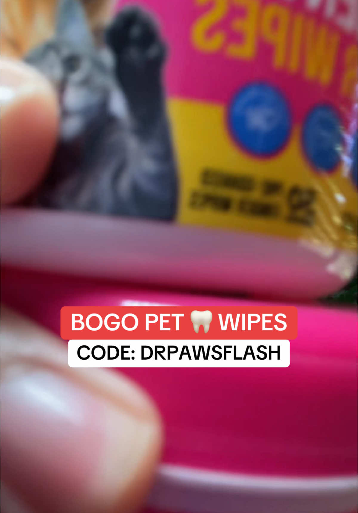 love these!! #PetsOfTikTok #pettips #pets #petproducts 