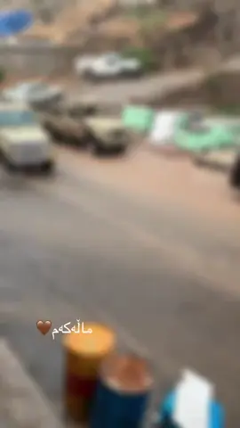 تەوێڵە بیارە هەڵەبجە خورماڵ