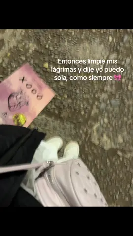 #fpy #contenido #sola #resiliencia #libros #noche 