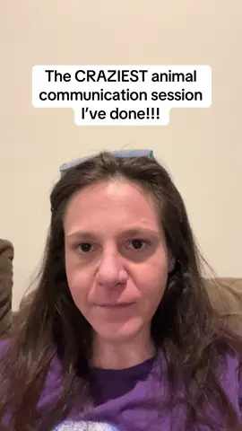 Buckle up, you’re in for a wild ride. This was the craziest most hilarious animal communication session I’ve ever done. #animalcommunicator #animalcommunication #catmomsoftiktok #petparentsoftiktok #petpsychic #petpsychicreading #mycatismybestfriend #telepathiccommunication #flamboyant #showstoppers #Pride #eltonjohnfan #crazycatmom #crazycatlady #petmedium #mycatisfamous #crazystories #petparentsoftiktok #petmassage #catmassage #animalcommunicators 
