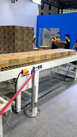 Carton Box Robot Palletizer System