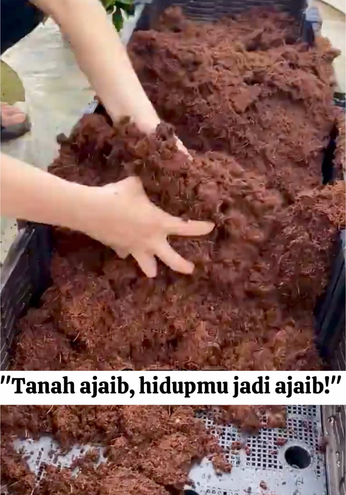 #infarm #infarmid 