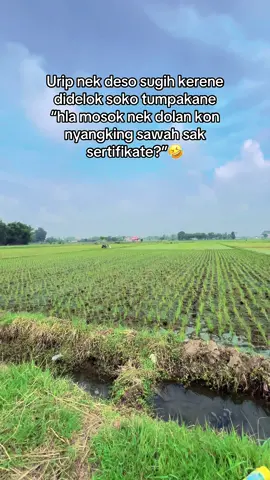 La masalahe iki sawahe sopoo 🤣