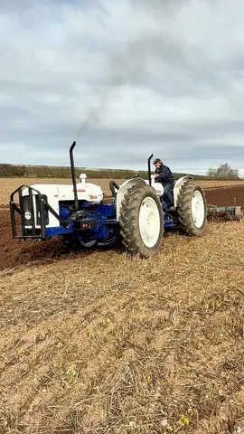 First time out in the field for the Saxon Tandem tractor with Paul Saxon #tractortok #ploughing #dualtractor