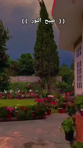 #CapCut # #♥️♥️  #⚘️⚘️⚘️ 