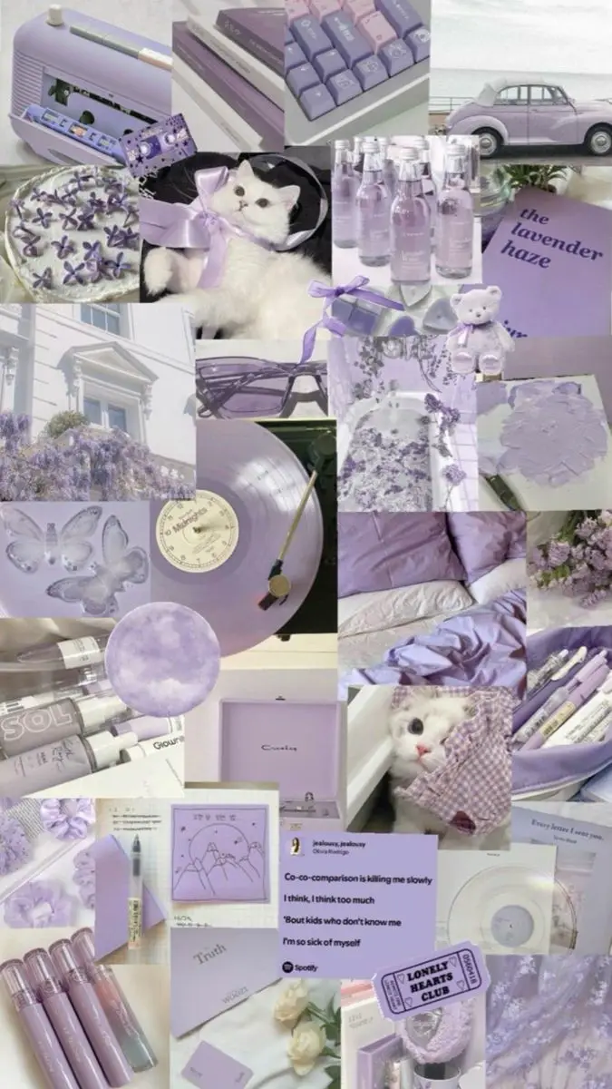 ခရမ်းရောင် wallpaperထားချင်သူများအတွက် #purplewallpers #followme #fyppppppppppppppppppppppp @𝒀𝑨𝑻𝑰 ♏︎♥︎♒︎ 